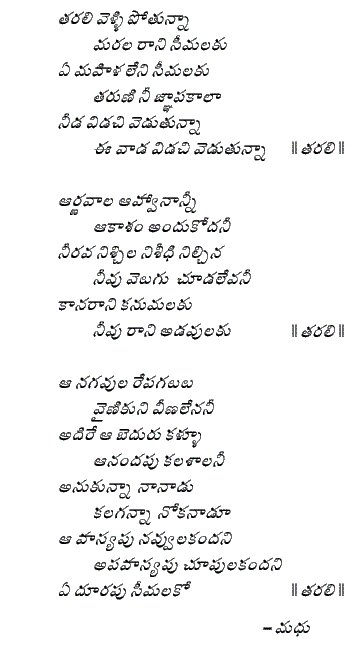 TARALI VELLI POTUNNAA